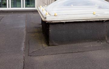 disadvantages of Brantingham flat roofs