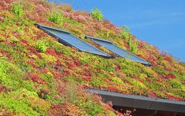 Brantingham living roof systems